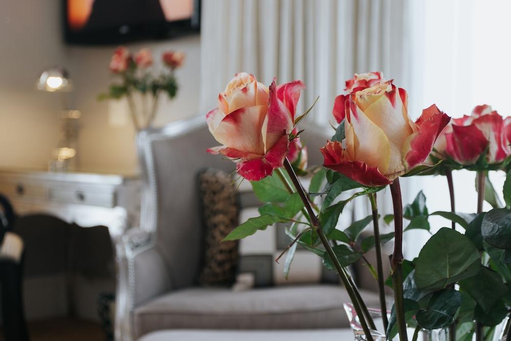 The Light House Boutique Suites Paarl Dış mekan fotoğraf
