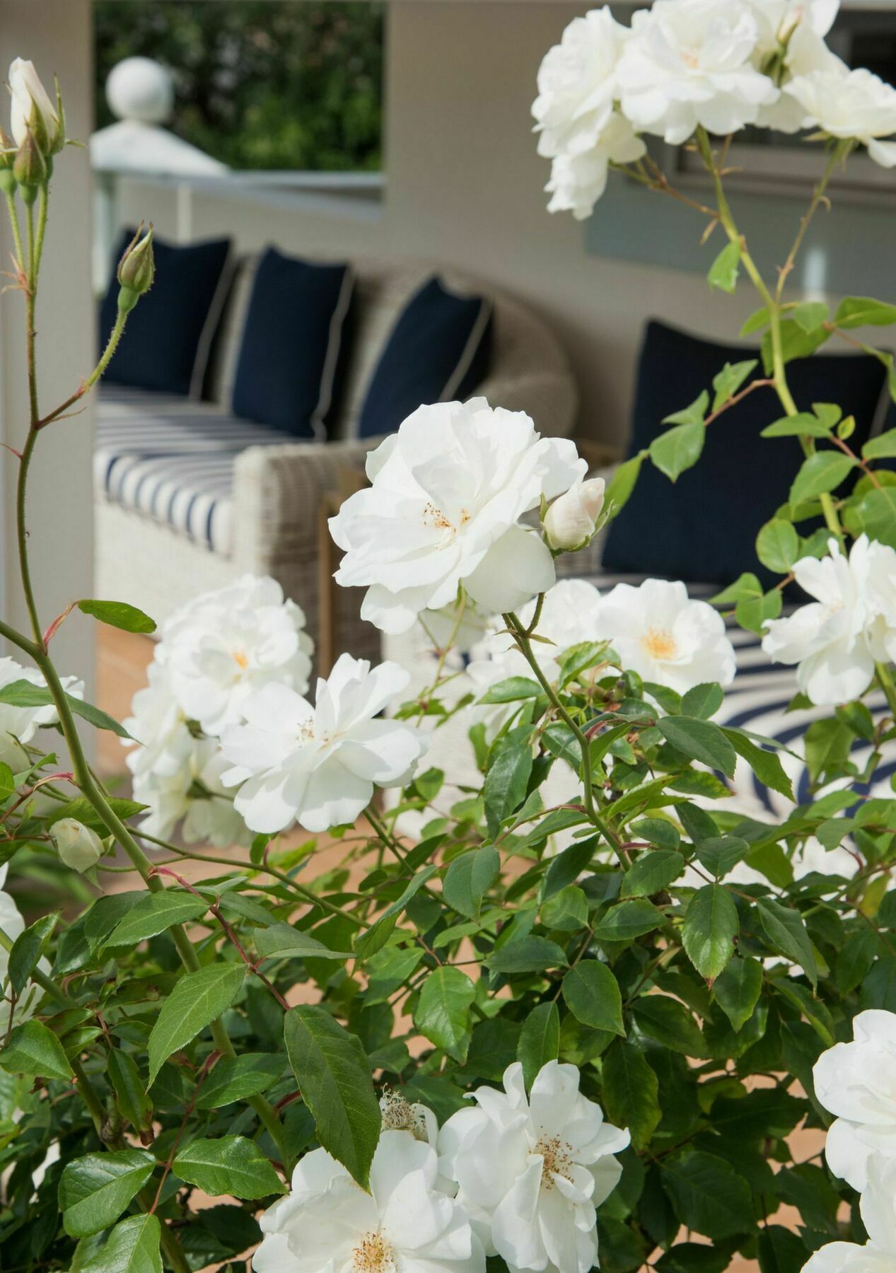 The Light House Boutique Suites Paarl Dış mekan fotoğraf